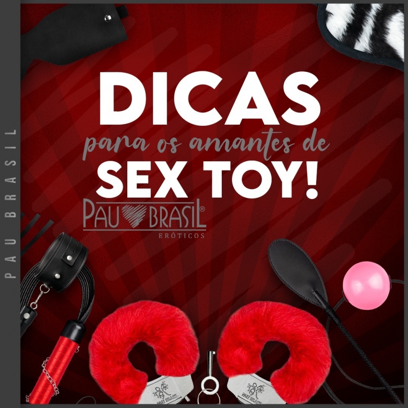 Dicas para os amantes de Sex Toy!