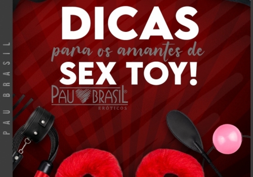 Dicas para os amantes de Sex Toy!