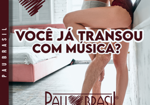 Você já transou com música?