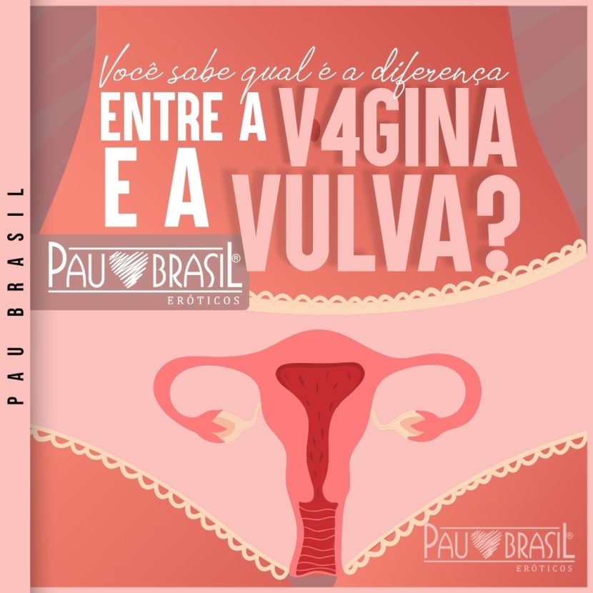 Você sabe qual a diferença entre a vagina e a vulva?