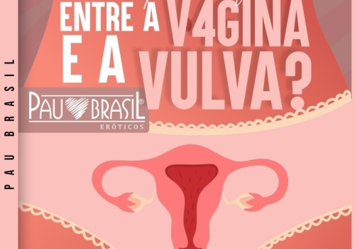 Você sabe qual a diferença entre a vagina e a vulva?